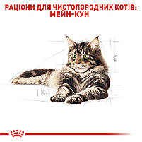 Корм для дорослих котів породи Мейн-Кун ROYAL CANIN MAINECOON ADULT 2.0 кг, фото 4