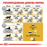 Корм для дорослих котів породи Мейн-Кун ROYAL CANIN MAINECOON ADULT 2.0 кг, фото 8