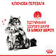 Корм для котів ROYAL CANIN HAIR&SKIN CARE 2.0 кг, для підтримки здоров’я шкіри та блиску шерсті, фото 6