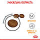 Корм для котів ROYAL CANIN HAIR&SKIN CARE 2.0 кг, для підтримки здоров’я шкіри та блиску шерсті, фото 7