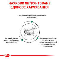 Корм для дорослих котів ROYAL CANIN SATIETY WEIGHT MANAGEMENT CAT 1.5 кг, фото 5