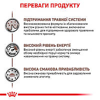 Вологий корм для дорослих котів ROYAL CANIN GASTRO-INTESTINAL CAT Pouches 0.085 кг, 0.085 кг, фото 5