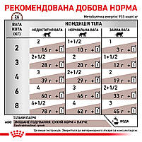 Вологий корм для дорослих котів ROYAL CANIN GASTRO-INTESTINAL CAT Pouches 0.085 кг, 0.085 кг, фото 7
