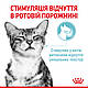 Вологий корм для дорослих котів ROYAL CANIN SENSORY FEEL JELLY шматочки у желе 85г, стимулює відчуття корму, 0.085 кг, фото 4