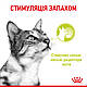 Вологий корм для дорослих котів ROYAL CANIN SENSORY SMELL GRAVY 0.085 кг, cтимулює нюхові рецептори, 0.085 кг, фото 4