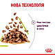 Вологий корм для дорослих котів ROYAL CANIN SENSORY SMELL GRAVY 0.085 кг, cтимулює нюхові рецептори, 0.085 кг, фото 6