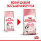 Корм для кошенят ROYAL CANIN KITTEN 2.0 кг, фото 3