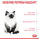 Корм для кошенят ROYAL CANIN KITTEN 2.0 кг, фото 4