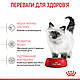 Корм для кошенят ROYAL CANIN KITTEN 2.0 кг, фото 5