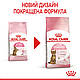 Корм для стерилізованих кошенят ROYAL CANIN KITTEN STERILISED 2.0 кг, фото 2