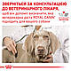 Вологий корм для дорослих собак ROYAL CANIN DIABETIC SPECIAL LC DOG Cans 0.41 кг, 0.41 кг, фото 8