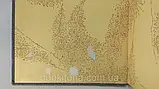 Стент Г. Келіндар Р. Молекулярна генетика.(б/У)., фото 5