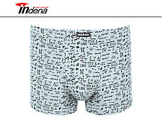 Чоловічі стрейчеві боксери «INDENA» АРТ.81227, фото 2