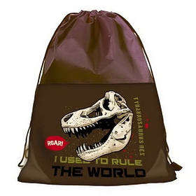 Сумка для взуття Leader "Дінозавр 2", 46х32см.