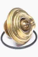 Термостат із прокладкою JP Group 1114601210