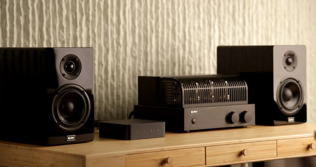 WiiM Pro Plus музичний стрімер 2.4G+5G Airplay2 з функцією мультирум