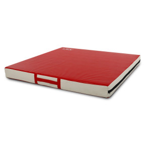 Мат спортивний гімнастичний з PVC LEV 100х100х10 см для амортизації падіння, фото 1