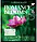 Зошит загальний (А5, 96 аркушів, лінія) Yes Romance blooms 766509, фото 5