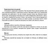 Книга Таро Манара. Книга- тлумач. Джульєта ( Book ), фото 4