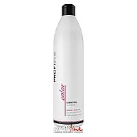 Шампунь для захисту кольору фарбованого волосся ProfiStyle Color Shampoo, 1000 мл