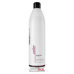 Шампунь для захисту кольору фарбованого волосся ProfiStyle Color Shampoo, 1000 мл