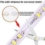 Pcning 10 м світлодіодна стрічка 220 В 230 В Пряме з'єднання IP67 Водонепроникний 4000 К без трансформатора з вилкою ЄС, фото 3