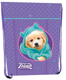 Шкільна текстильна сумка 46*33см Class Friends 2432C