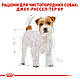 Сухий корм для дорослих собак породи Джек-Рассел-тер'єр ROYAL CANIN JACK RUSSEL ADULT 1.5 кг, 1.5 кг, фото 4