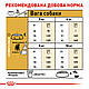 Сухий корм для дорослих собак породи Джек-Рассел-тер'єр ROYAL CANIN JACK RUSSEL ADULT 1.5 кг, 1.5 кг, фото 8