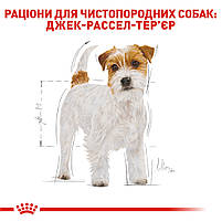 Сухий корм для дорослих собак породи Джек-Рассел-тер'єр ROYAL CANIN JACK RUSSEL ADULT 1.5 кг, 1.5 кг, фото 4
