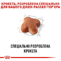 Сухий корм для дорослих собак породи Джек-Рассел-тер'єр ROYAL CANIN JACK RUSSEL ADULT 1.5 кг, 1.5 кг, фото 5