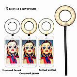Набір блогера Professional Live Stream, світлодіодна кільцева лампа для селфі, Led лампа кільцева, фото 6