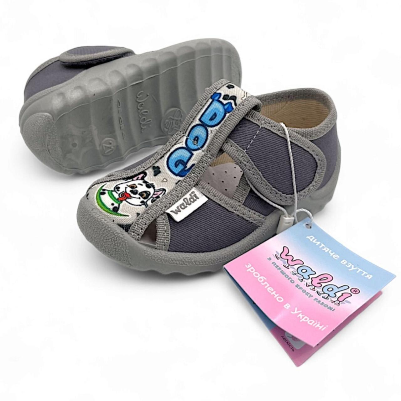 Дитячі тапочки для хлопчика Waldi 21p