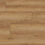 Ламінат Classen Дуб Хелмонд 8/33 Emotions 4V арт 62492, фото 4