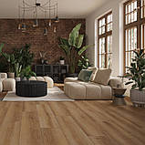 Ламінат Classen Дуб Хелмонд 8/33 Emotions 4V арт 62492, фото 2