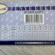 Чоловічі труси сімейні 100% бавовна DoReMi, Туреччина, розмір 3, 4 (48-50), асорті, 34, фото 9