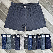 Чоловічі труси сімейні 100% бавовна DoReMi, Туреччина, розмір 3, 4 (48-50), асорті, 34, фото 3