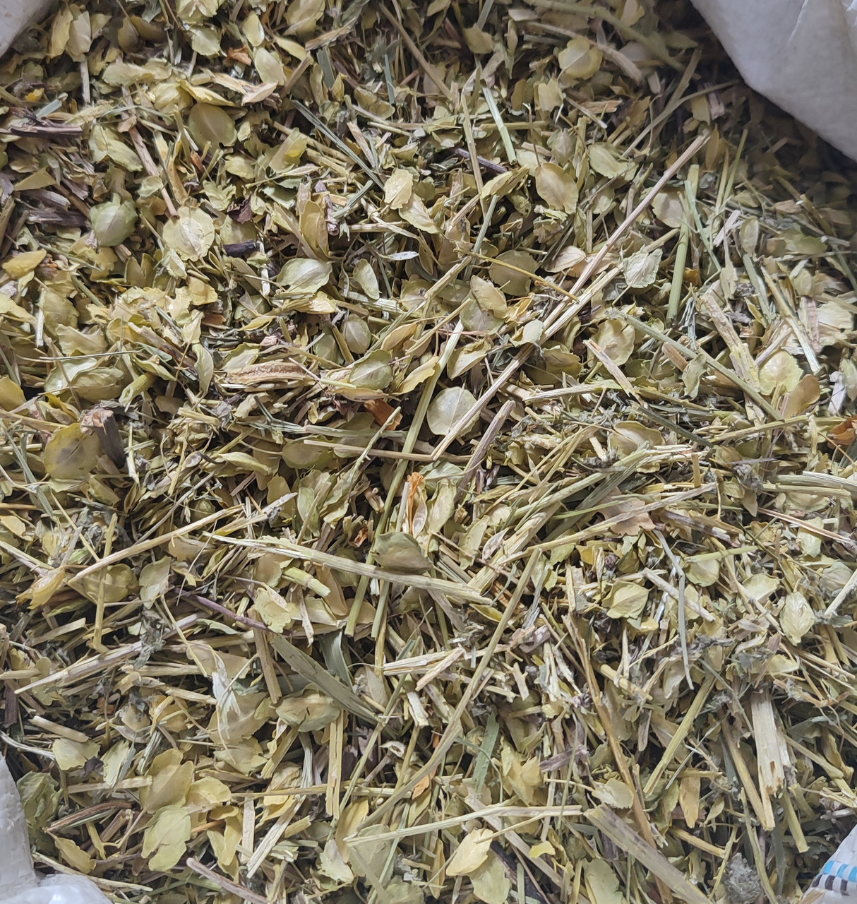Талабан / Ярутка польова, 100г.