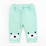 Комплект ясельний Ведмедик кофта та штани начісний з аплікацією, фото 5