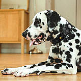 Нашийник для собак під Apple AirTag зі світловідбивачем, фото 4