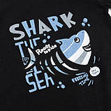 Пісочник дитячий Shark, фото 4