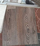 Напівкомерційний лінолеум Tarkett Forward Caspian 3 - ширина 3 і 3,5 і 4 метри, фото 2