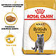 Корм для дорослих котів ROYAL CANIN BRITISH SHORTHAIR ADULT, на вагу 250 г, фото 3