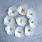 Вафельний декор