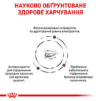 Корм для цуценят ROYAL CANIN GASTRO INTESTINAL PUPPY 2.5 кг, 2.5 кг, фото 4