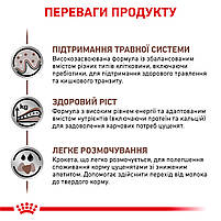 Корм для цуценят ROYAL CANIN GASTRO INTESTINAL PUPPY 2.5 кг, 2.5 кг, фото 5