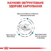 Корм для дорослих котів ROYAL CANIN SKIN&COAT CAT 0.4 кг, фото 4