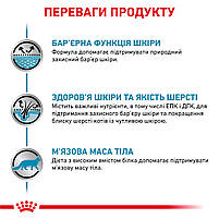 Корм для дорослих котів ROYAL CANIN SKIN&COAT CAT 0.4 кг, фото 5