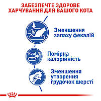 Сухий корм для домашніх кішок низькокалорійний ROYAL CANIN INDOOR на вагу, 250 г / Корм для котів, фото 4