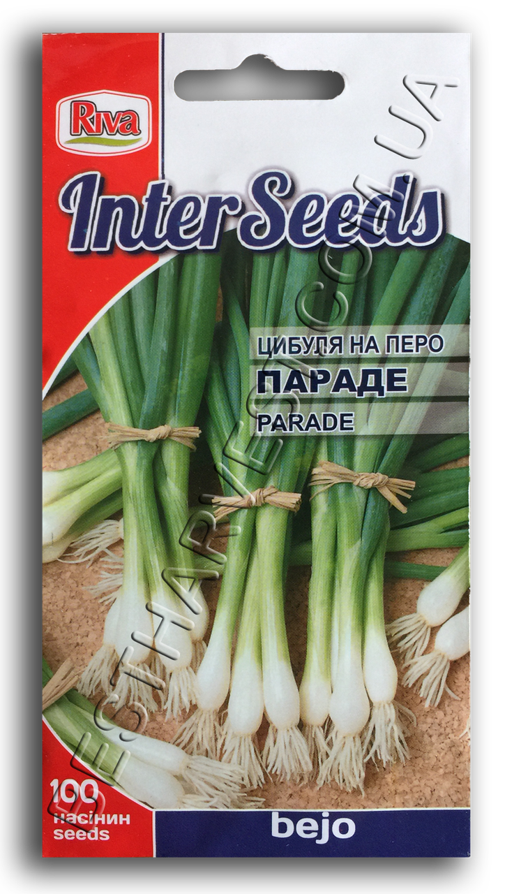 Насіння цибулі Параді (на перо) 100 насінин